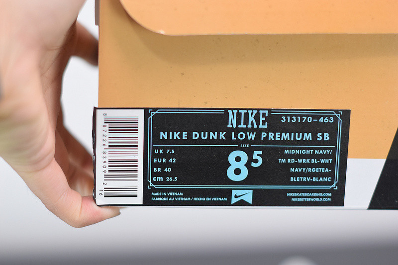 NIKE SB DUNK LOW FTC FINALLY 313170-463