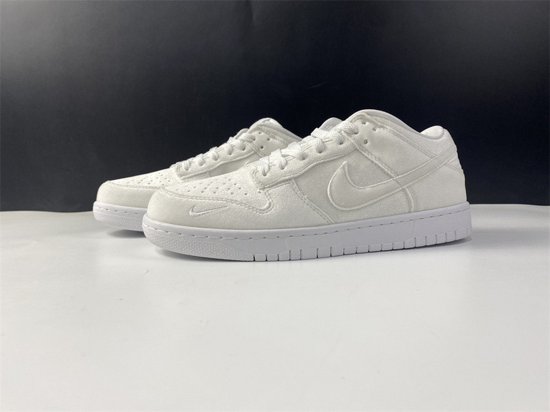 DOVER STREET MARKET X NIKE SB DUNK LOW DH2686-100