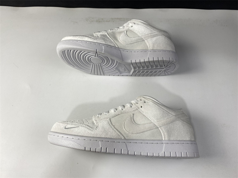 DOVER STREET MARKET X NIKE SB DUNK LOW DH2686-100
