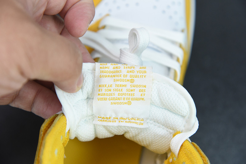 NIKE SB DUNK HIGH 