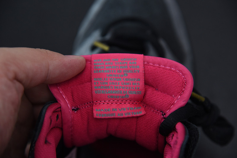 NIKE DUNK HIGH PREMIUM SB 