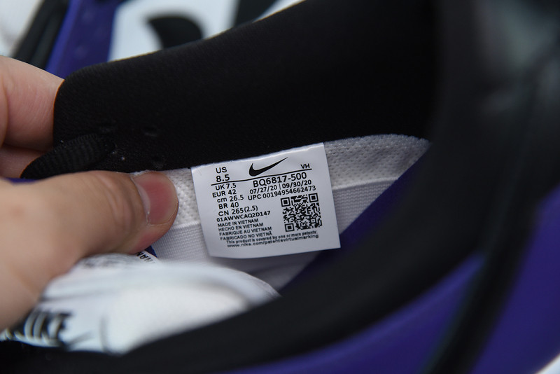 NIKE SB DUNK LOW “COURT PURPLE” BQ6817-500