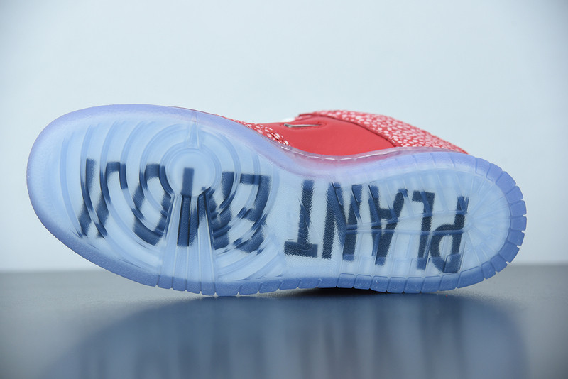 NIKE SB DUNK LOW STINGWATER MAGIC MUSHROOM DH7650-600