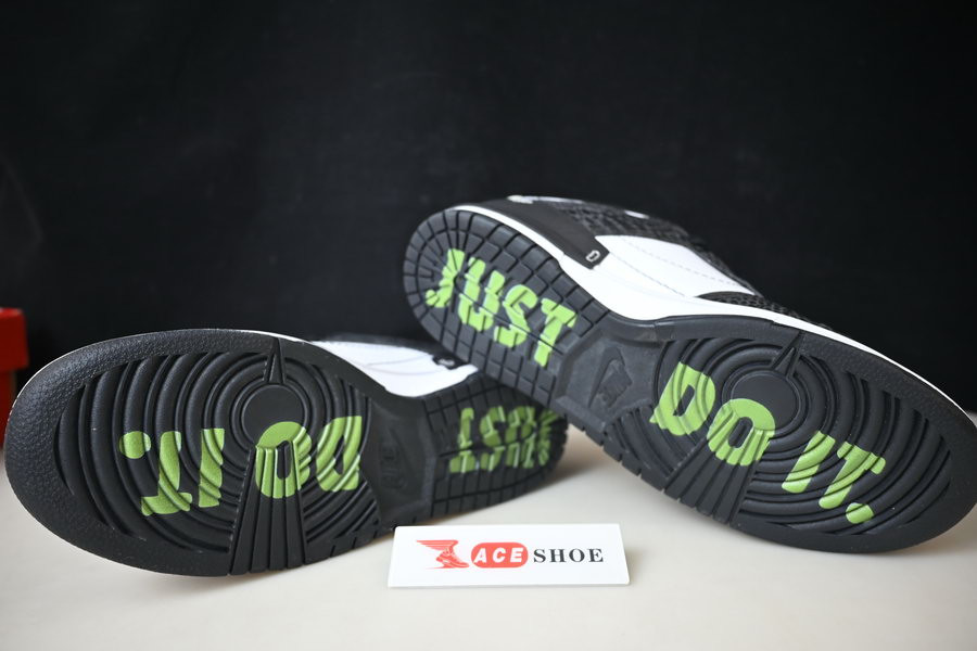 NIKE DUNK LOW DISRUPT 2 “JUST DO IT” DV1490-161
