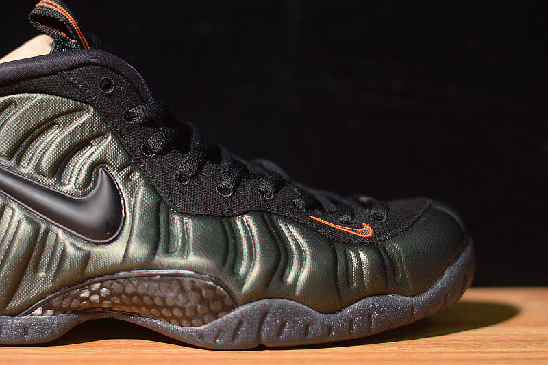 NIKE AIR FOAMPOSITE  PRO SEQUOIA 624041-304