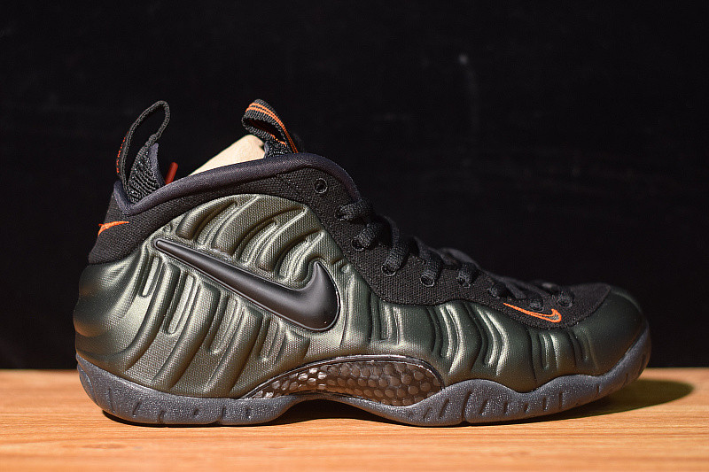 NIKE AIR FOAMPOSITE  PRO SEQUOIA 624041-304