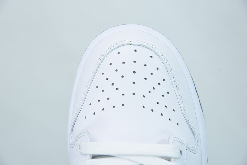 NIKE SB DUNK LOW WHITE BLACK DD1503-113