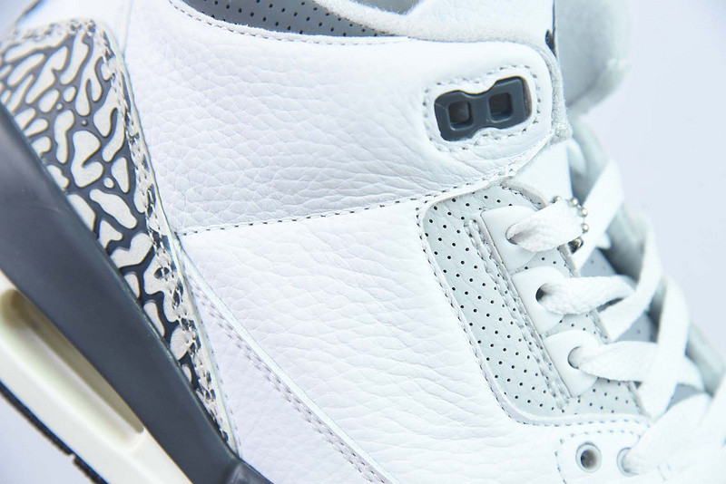 Air Jordan 3 GS Hide N