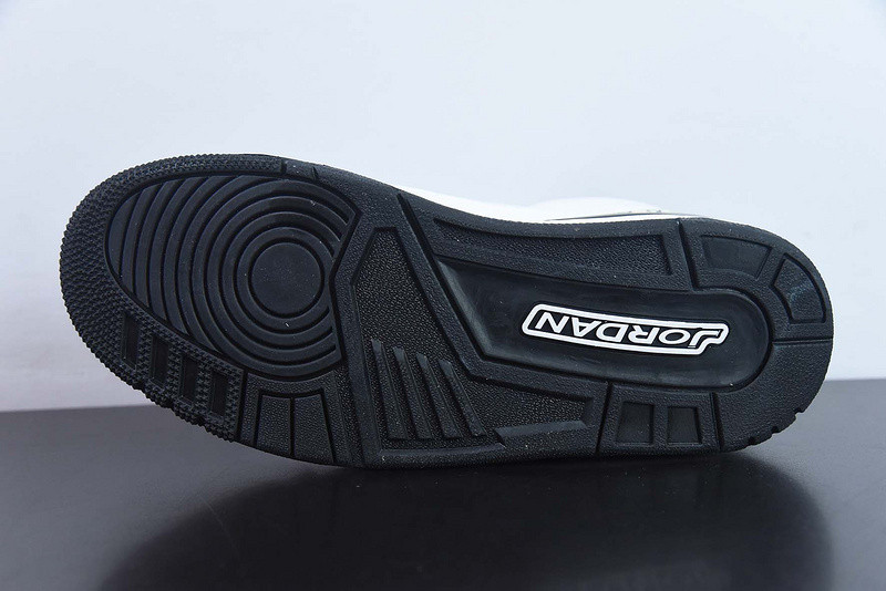 Air Jordan 3 GS Hide N