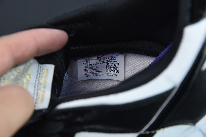NIKE DUNK LOW "WORLD CHAMP" DR9511-100