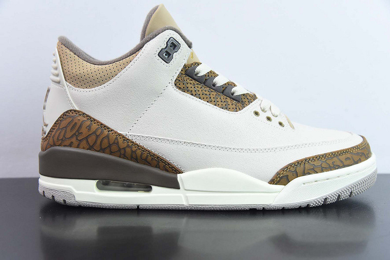 Air Jordan 3 "Palamino" CT8532-102