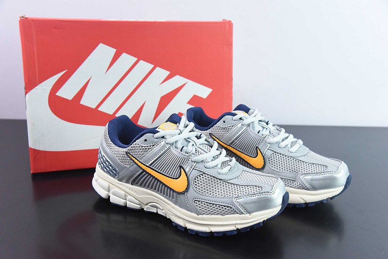 Nike Zoom Vomero 5 "Pure Platinum" FJ4151-001
